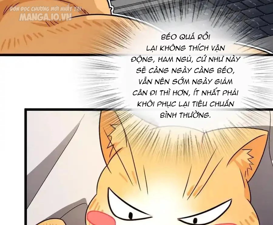 bà xã nhà tôi đến từ ngàn năm trước Chapter 284 - Trang 2